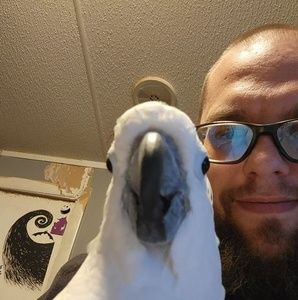 Meet your Posher, Alan